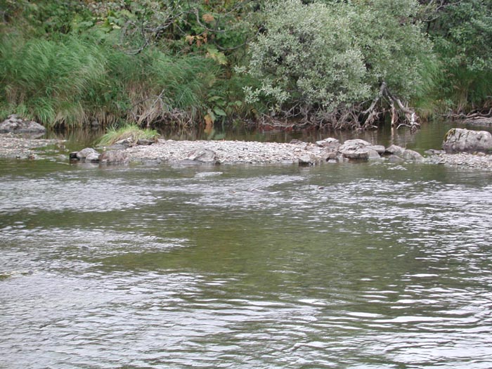 Kodiak River 6.jpg 115.4K